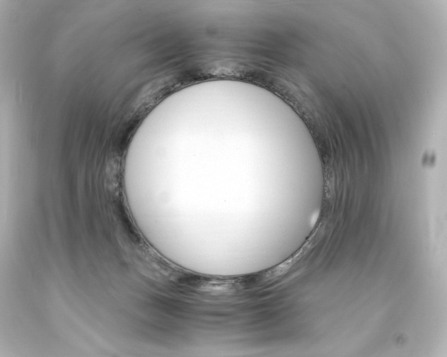 X0000094360175200711021344