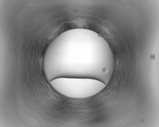 X0000094360177200711021344