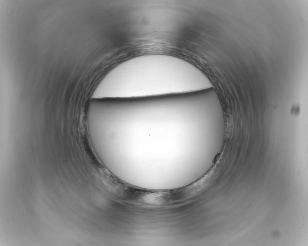 X0000094360178200711021344