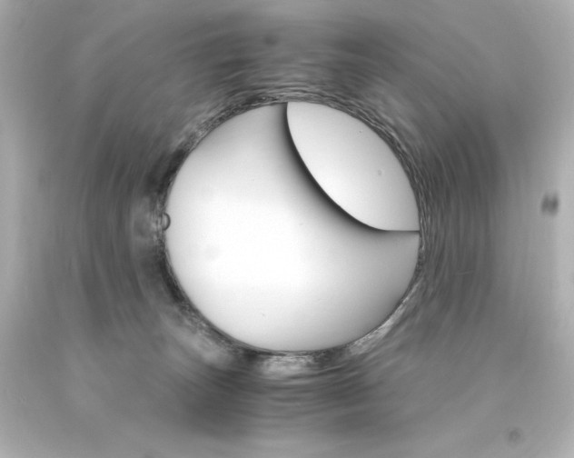 X0000094360179200711021344
