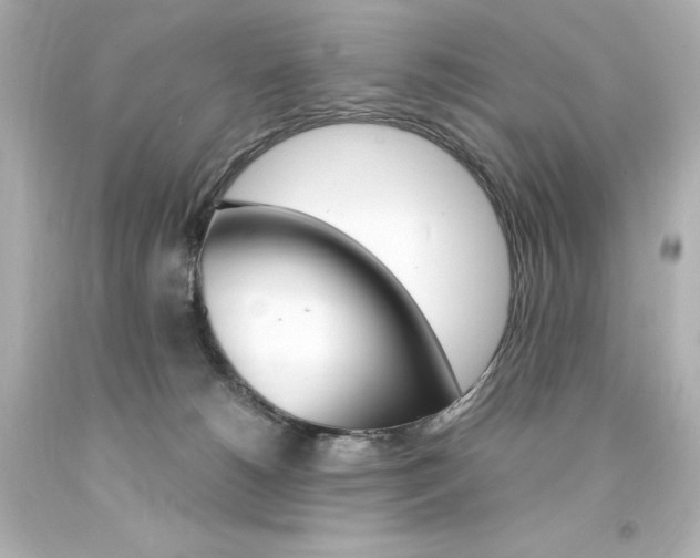 X0000094360180200711021344