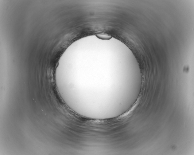 X0000094360182200711021344