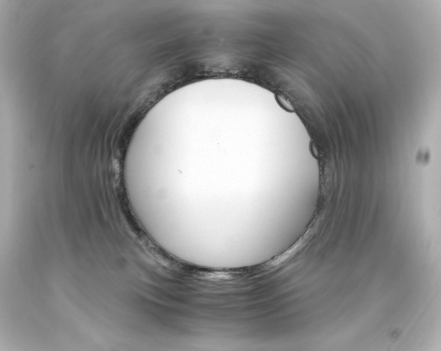 X0000094360183200711021344