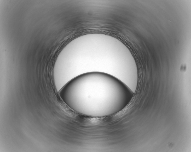 X0000094360184200711021344