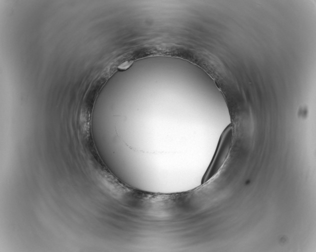 X0000094360186200711021344
