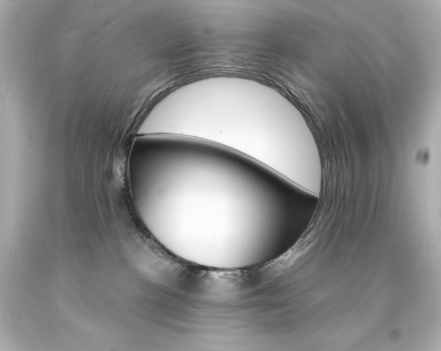 X0000094360188200711021344