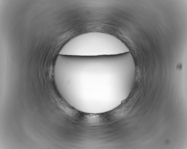 X0000094360189200711021344