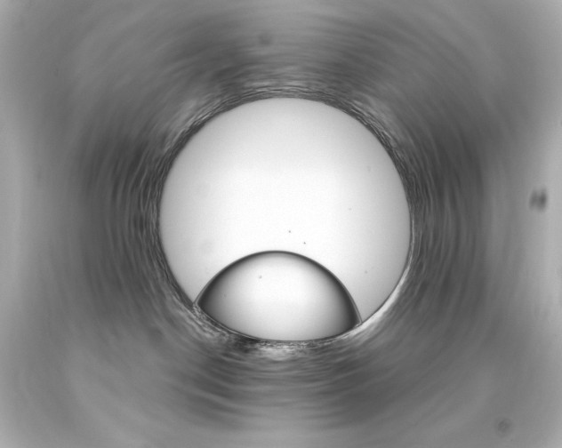 X0000094360190200711021344