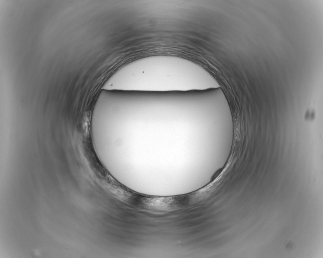 X0000094360191200711021344