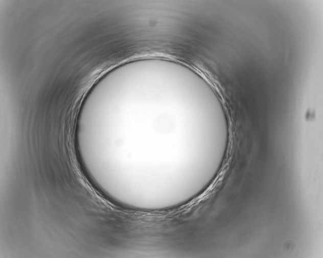 X0000094360193200711021344