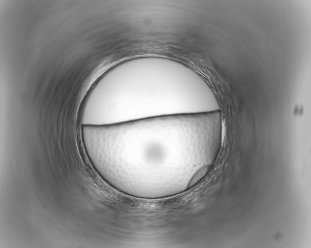 X0000094360195200711021344