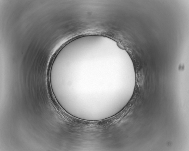 X0000094360196200711021344