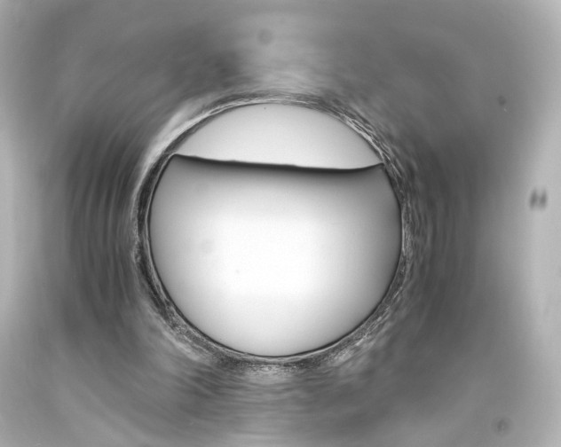 X0000094360198200711021344