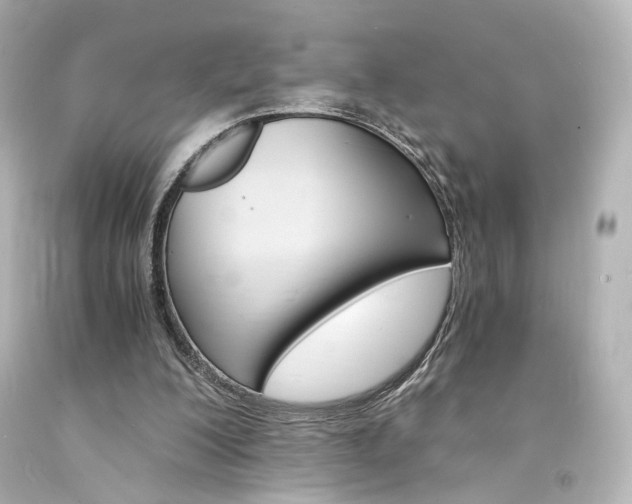 X0000094360200200711021344