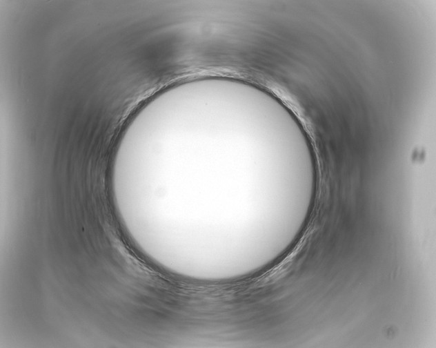X0000094360201200711021344