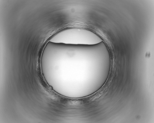 X0000094360202200711021344