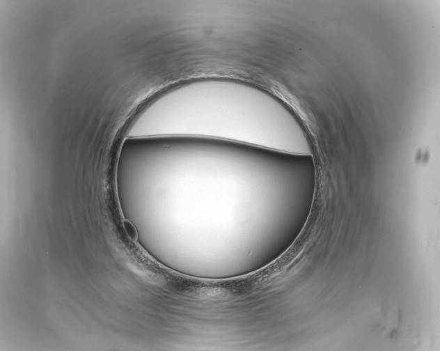 X0000094360203200711021344