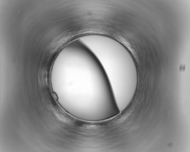 X0000094360205200711021344