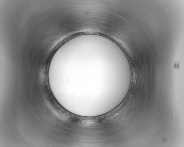 X0000094360208200711021344