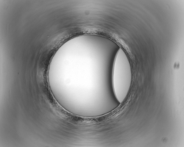 X0000094360209200711021344