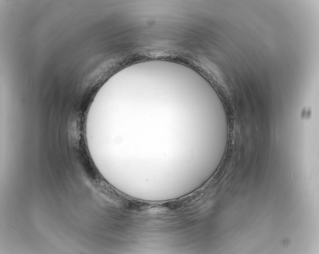 X0000094360210200711021344