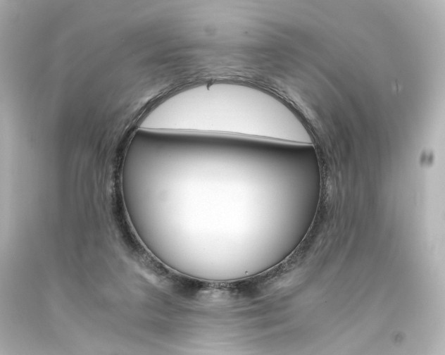 X0000094360211200711021343