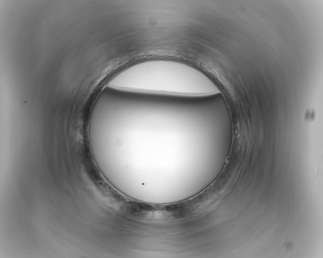 X0000094360212200711021343