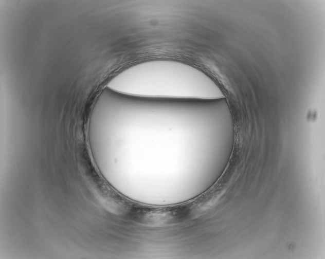 X0000094360213200711021343