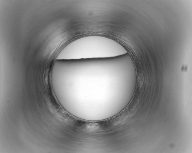 X0000094360214200711021343