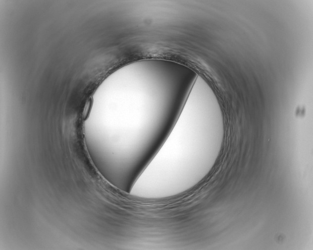 X0000094360217200711021343