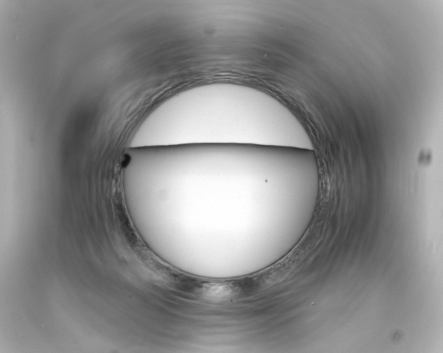 X0000094360218200711021343