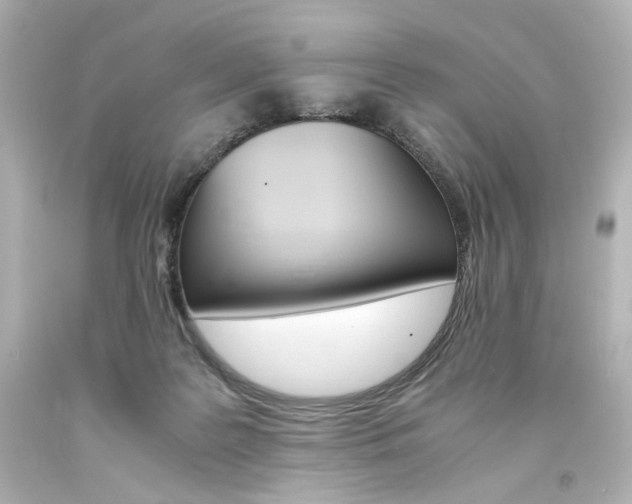 X0000094360219200711021343