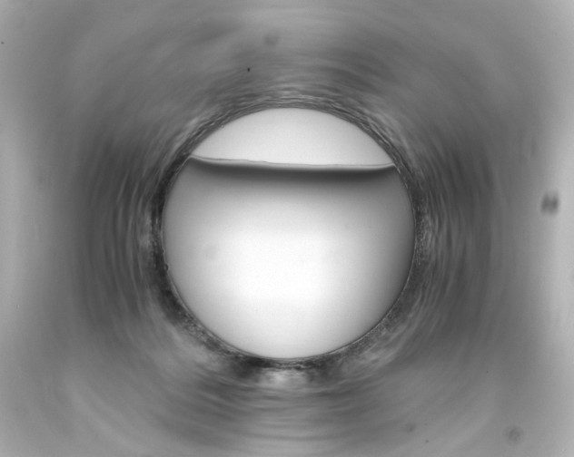 X0000094360220200711021343