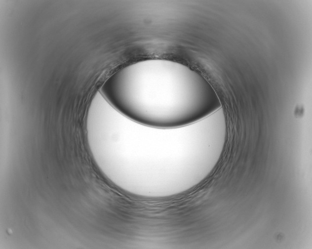 X0000094360221200711021343
