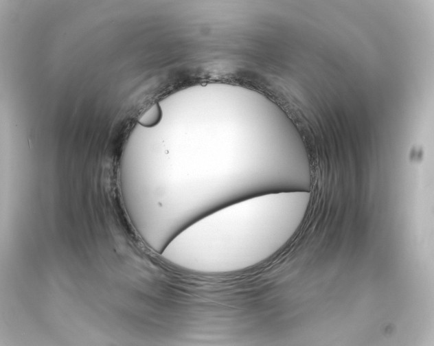 X0000094360222200711021343