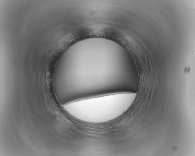 X0000094360223200711021343
