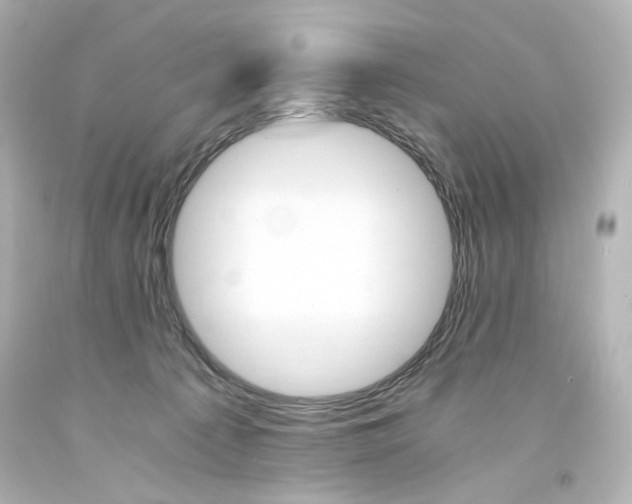 X0000094360225200711021343