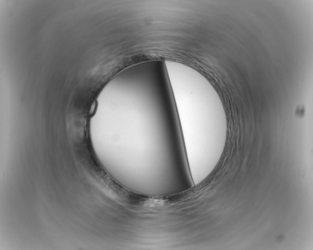 X0000094360227200711021343
