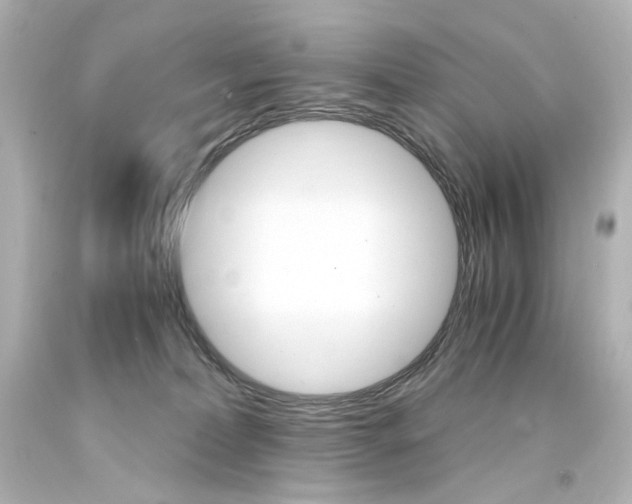 X0000094360228200711021343
