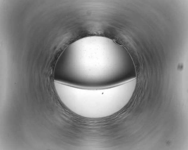 X0000094360229200711021343