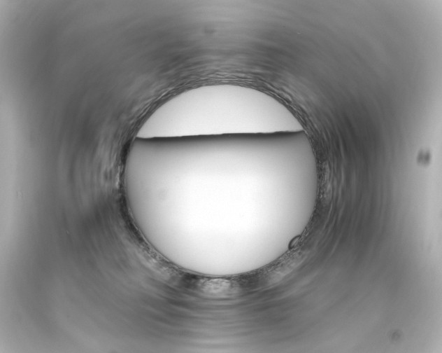 X0000094360230200711021343