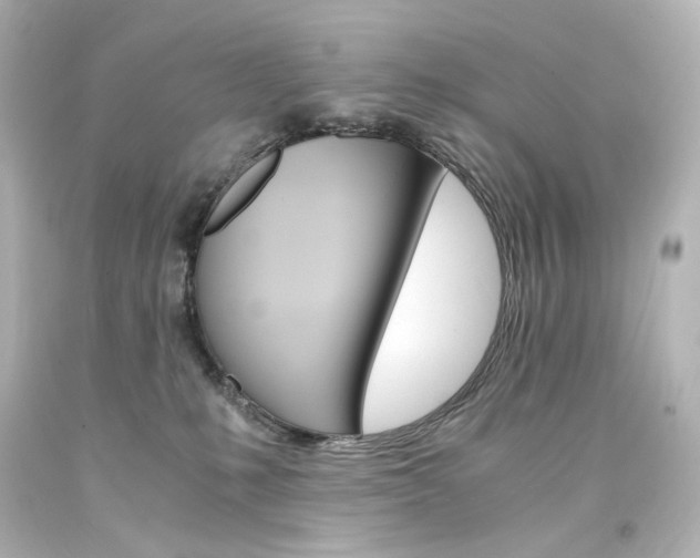 X0000094360231200711021343