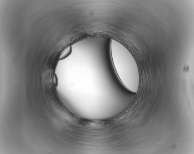 X0000094360232200711021343