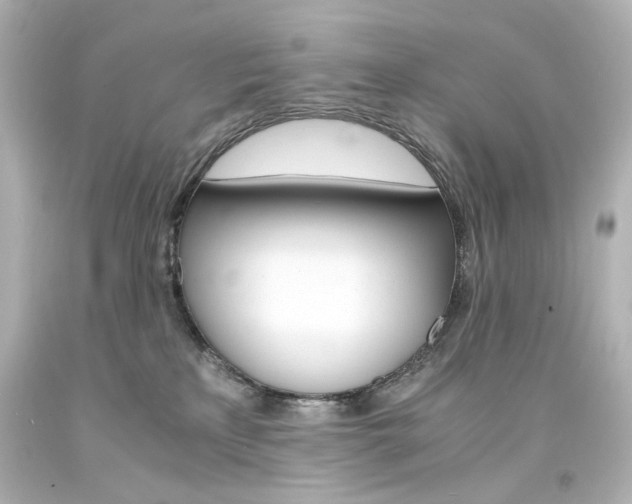 X0000094360233200711021343