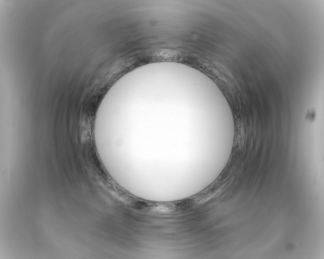 X0000094360236200711021343