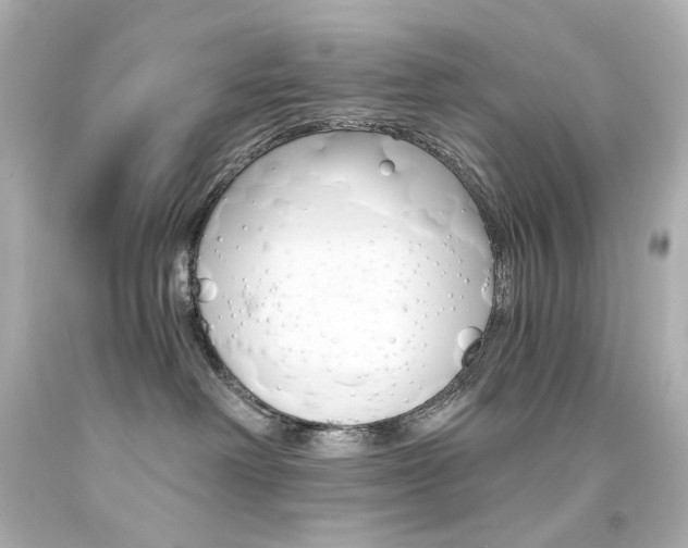 X0000094360238200711021343