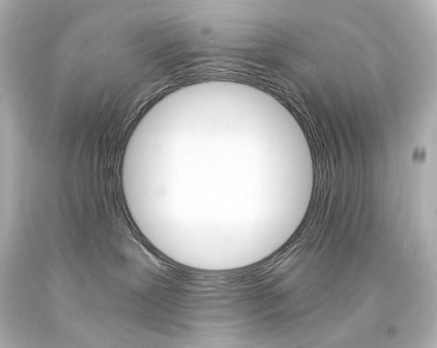 X0000094360239200711021343
