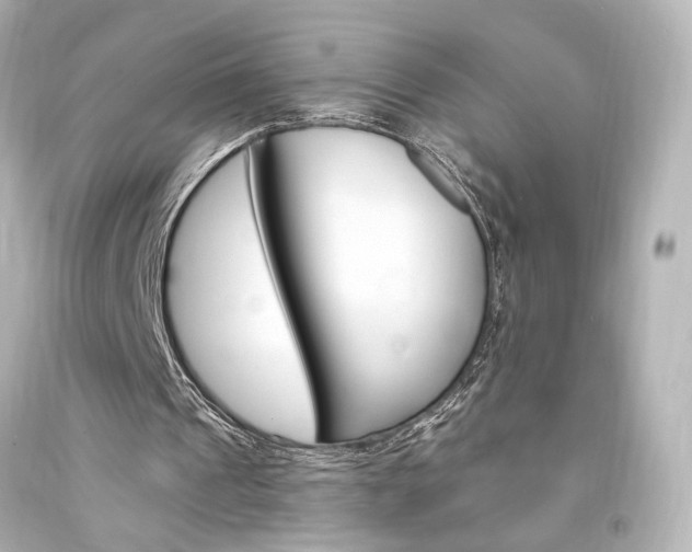 X0000094360241200711021342