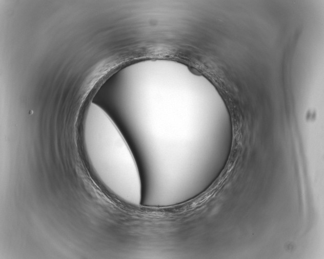 X0000094360242200711021342