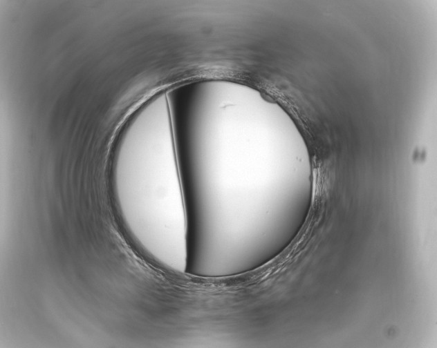 X0000094360243200711021342